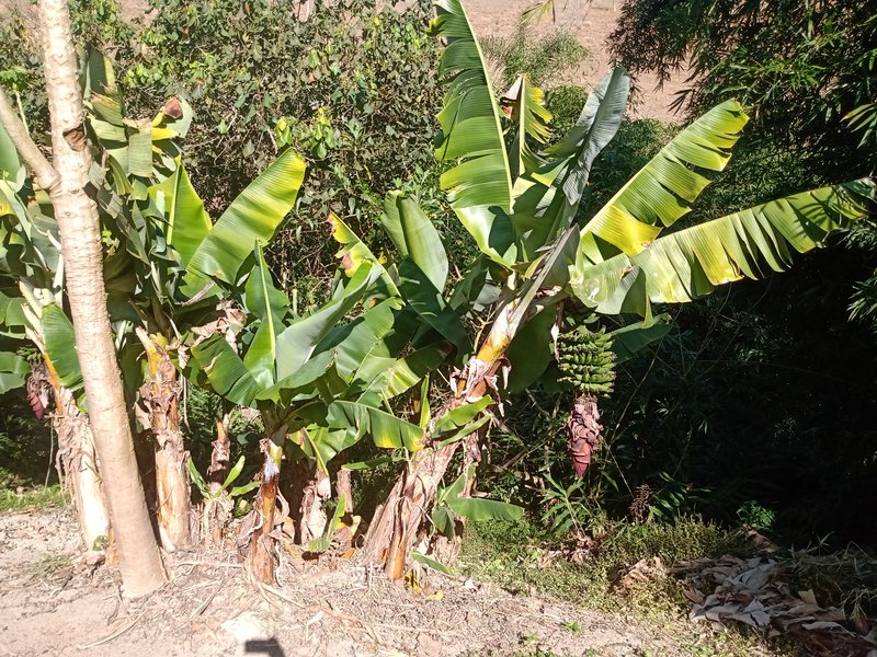 SÍTIO COM 12 HECTARES EM SÃO JOSÉ DOS CAMPOS - São José dos Campos - 