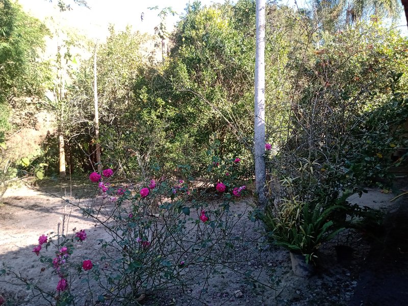 SÍTIO COM 12 HECTARES EM SÃO JOSÉ DOS CAMPOS - São José dos Campos - 