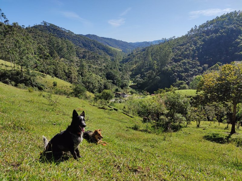 SÍTIO COM 14.7 HECTARES EM SÃO LUIZ DO PARAITINGA - SAO LUIS DO PARAITINGA - 