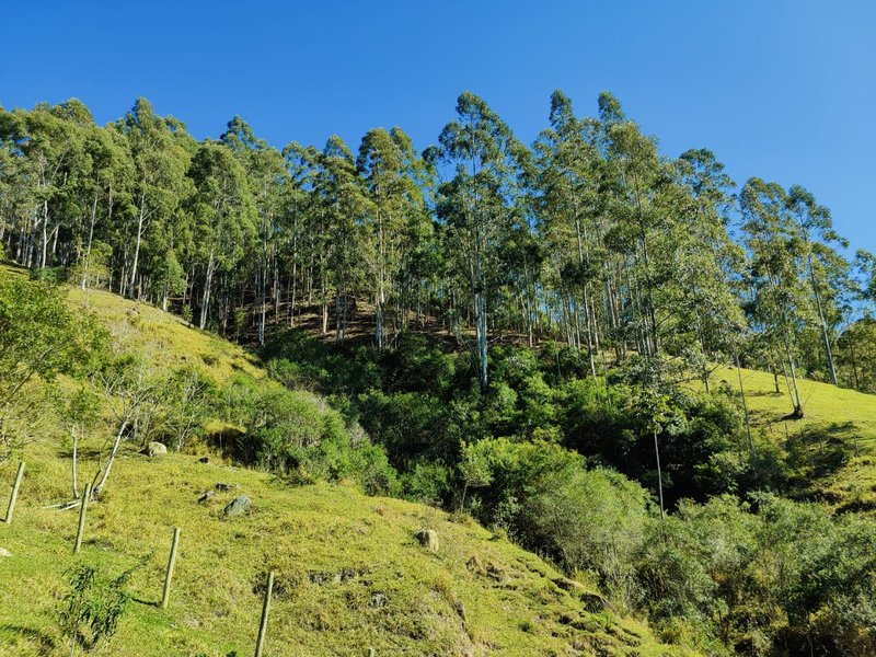 SÍTIO COM 14.7 HECTARES EM SÃO LUIZ DO PARAITINGA - SAO LUIS DO PARAITINGA - 