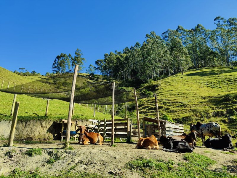 SÍTIO COM 14.7 HECTARES EM SÃO LUIZ DO PARAITINGA - SAO LUIS DO PARAITINGA - 