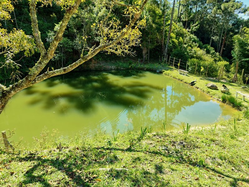SÍTIO COM 14.7 HECTARES EM SÃO LUIZ DO PARAITINGA - SAO LUIS DO PARAITINGA - 