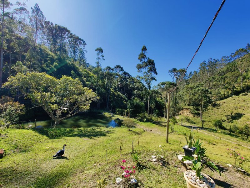 SÍTIO COM 14.7 HECTARES EM SÃO LUIZ DO PARAITINGA - SAO LUIS DO PARAITINGA - 