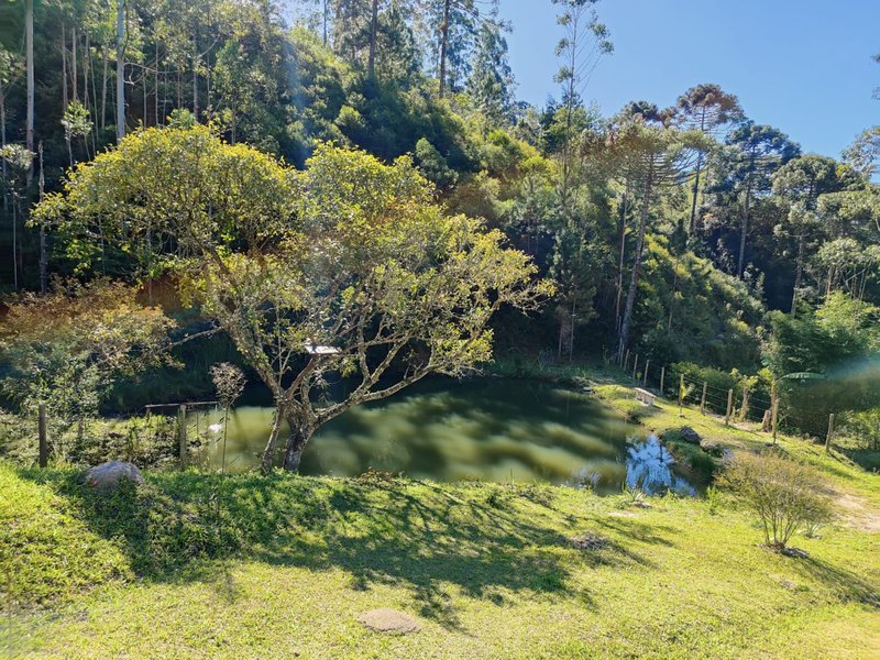 SÍTIO COM 14.7 HECTARES EM SÃO LUIZ DO PARAITINGA - SAO LUIS DO PARAITINGA - 