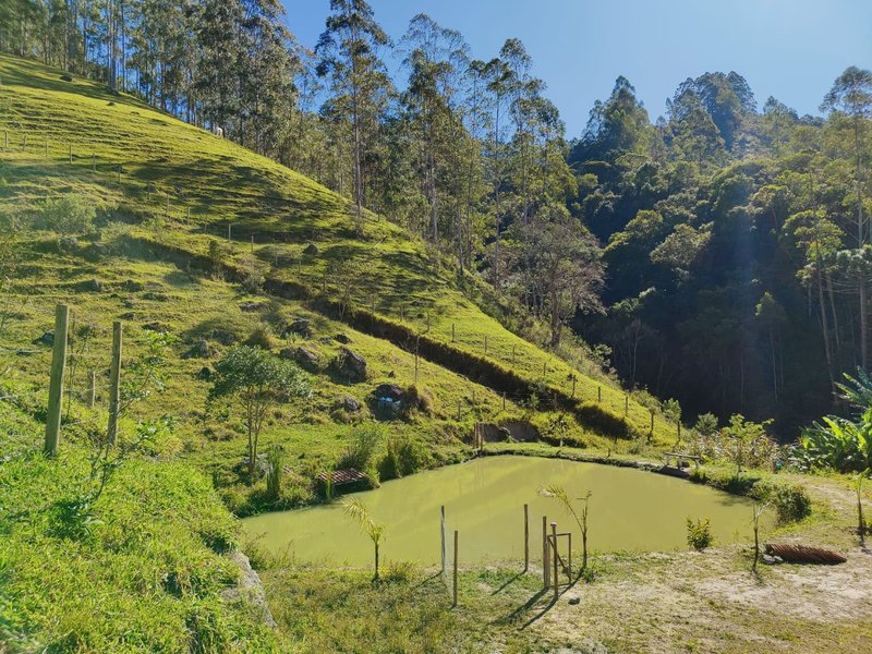 SÍTIO COM 14.7 HECTARES EM SÃO LUIZ DO PARAITINGA - SAO LUIS DO PARAITINGA - 