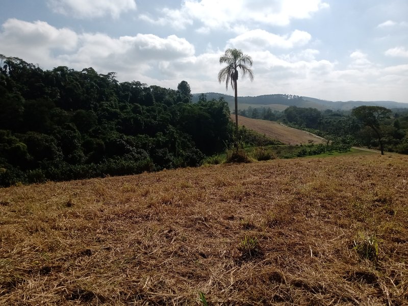 SÍTIO COM 29 HECTARES EM JACAREÍ - Jacareí - 