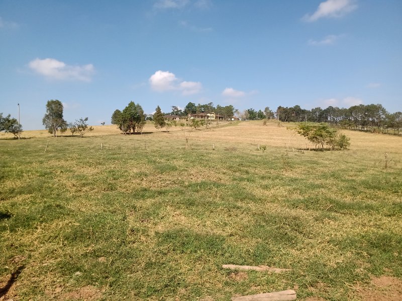 SÍTIO COM 29 HECTARES EM JACAREÍ - Jacareí - 