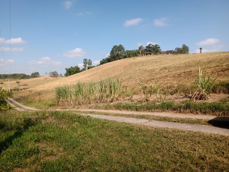 SÍTIO COM 29 HECTARES EM JACAREÍ - Jacareí - 
