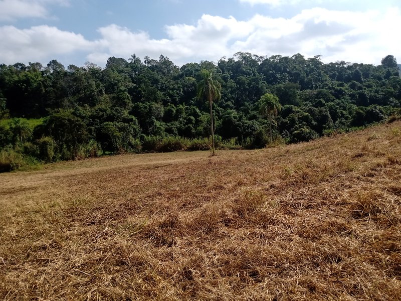 SÍTIO COM 29 HECTARES EM JACAREÍ - Jacareí - 