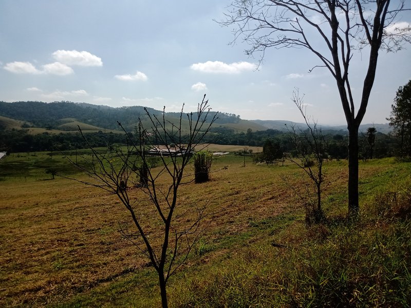 SÍTIO COM 29 HECTARES EM JACAREÍ - Jacareí - 