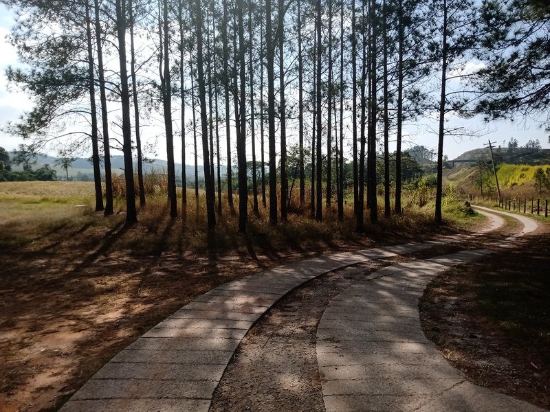 SÍTIO COM 29 HECTARES EM JACAREÍ - Jacareí - 