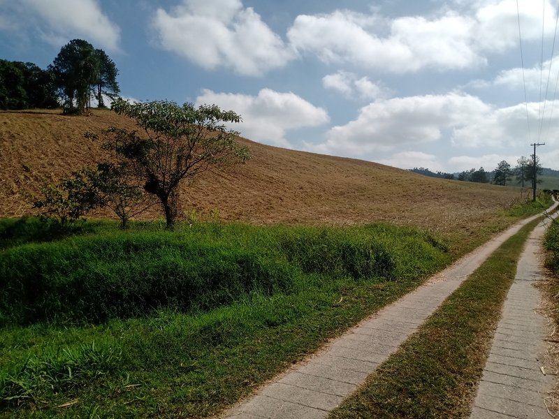 SÍTIO COM 29 HECTARES EM JACAREÍ - Jacareí - 
