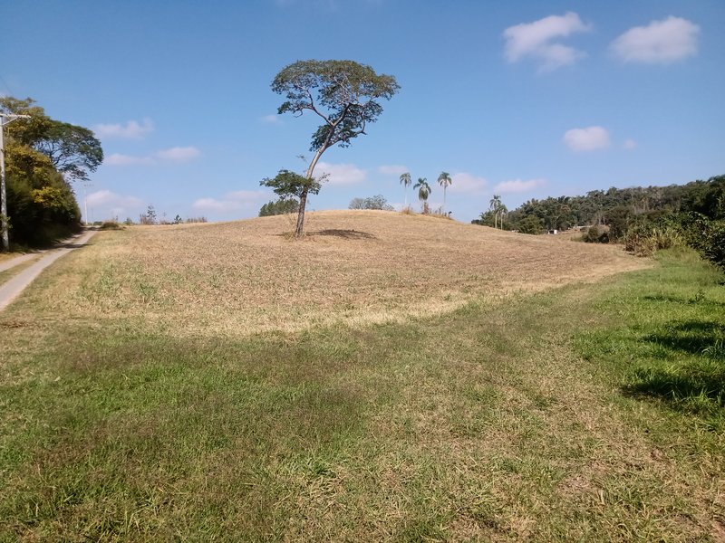 SÍTIO COM 29 HECTARES EM JACAREÍ - Jacareí - 