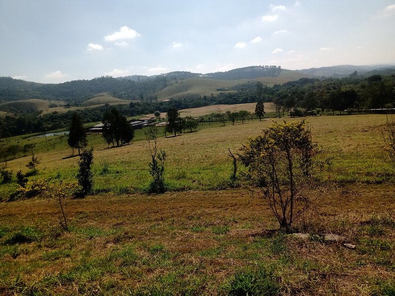 SÍTIO COM 29 HECTARES EM JACAREÍ - Jacareí - 