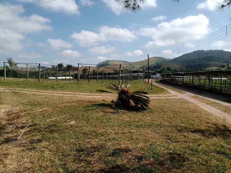 SÍTIO COM 29 HECTARES EM JACAREÍ - Jacareí - 
