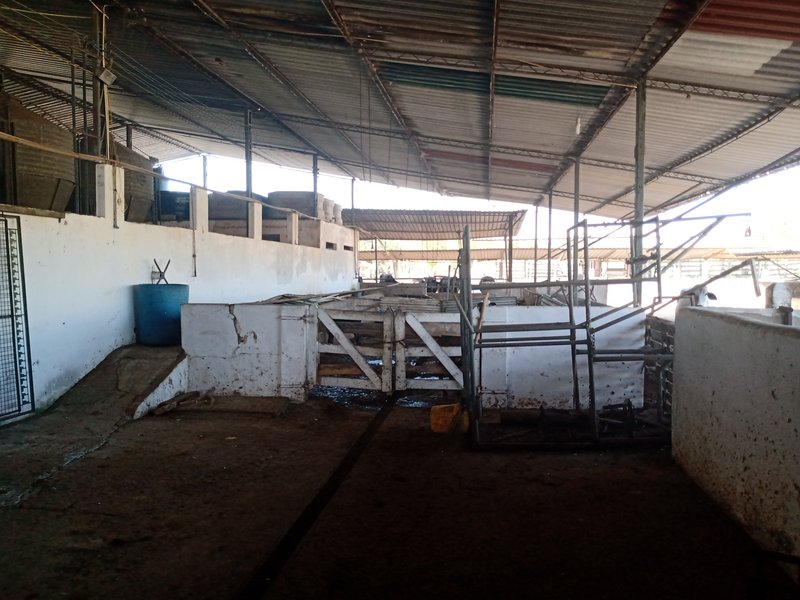 SÍTIO COM 29 HECTARES EM JACAREÍ - Jacareí - 