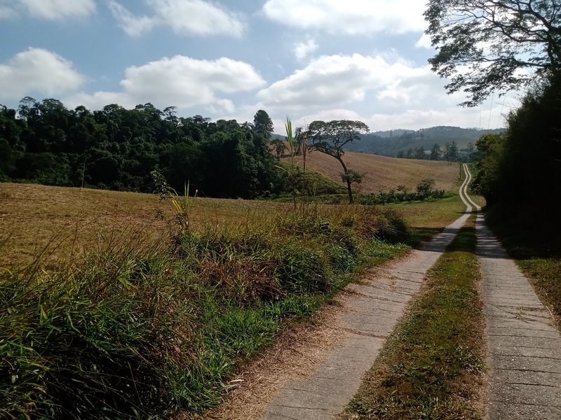 SÍTIO COM 29 HECTARES EM JACAREÍ - Jacareí - 