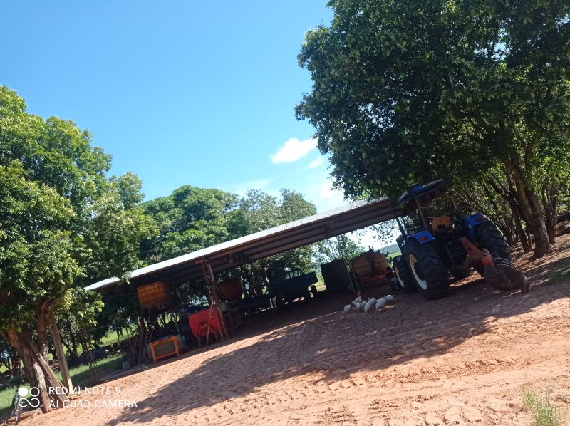 FAZENDA COM 588 HECTARES EM JALES - JALES - 