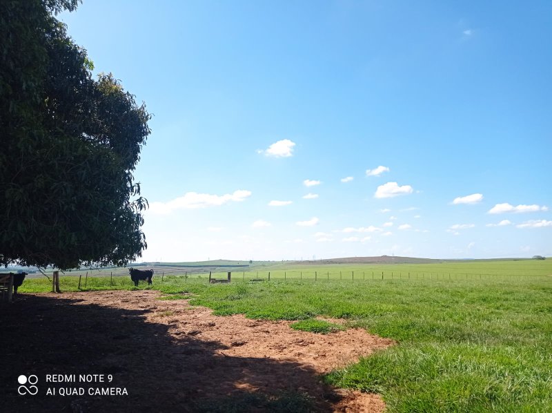FAZENDA COM 588 HECTARES EM JALES - JALES - 