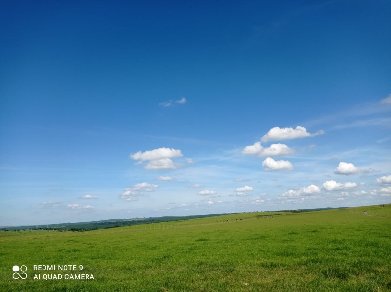 FAZENDA COM 588 HECTARES EM JALES - JALES - 