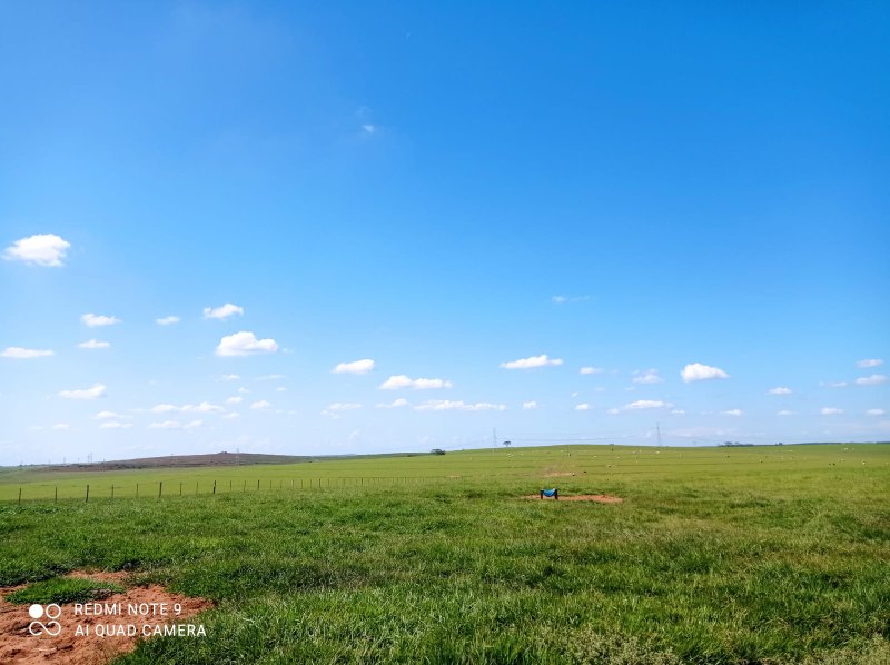 FAZENDA COM 588 HECTARES EM JALES - JALES - 
