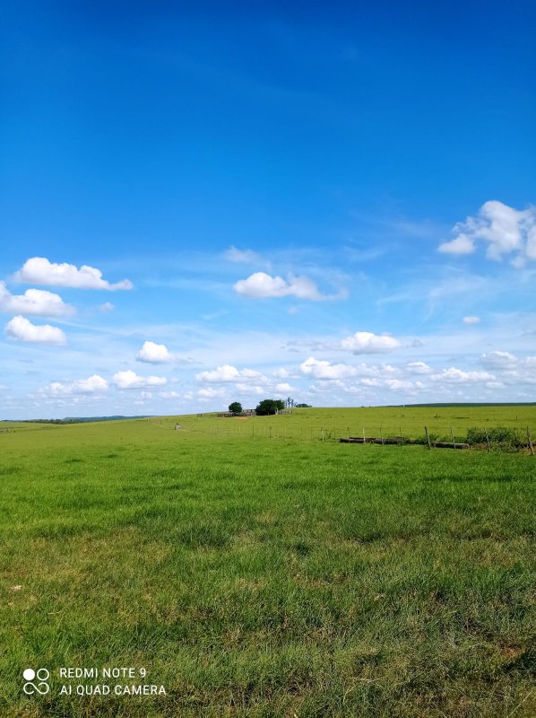 FAZENDA COM 588 HECTARES EM JALES - JALES - 