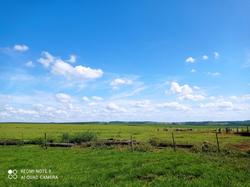 FAZENDA COM 588 HECTARES EM JALES - JALES - 