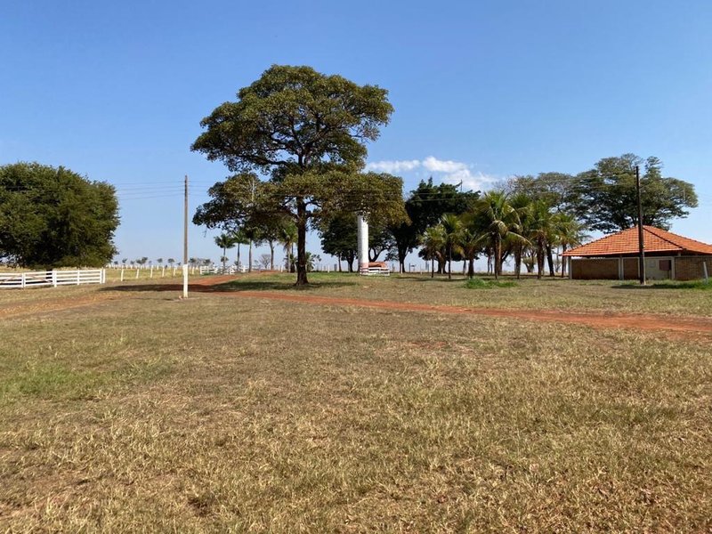 FAZENDA  COM 508 HECTARES EM LINS - LINS - 