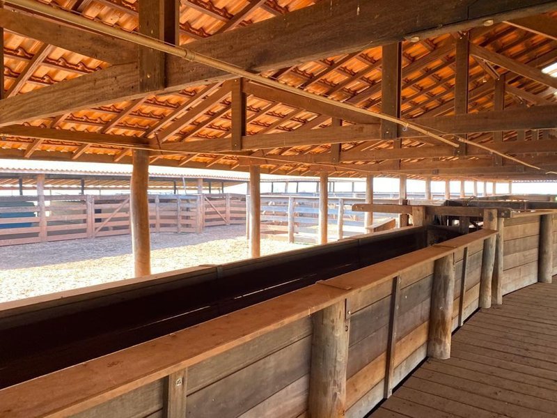 FAZENDA  COM 508 HECTARES EM LINS - LINS - 