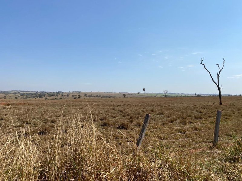 FAZENDA  COM 508 HECTARES EM LINS - LINS - 