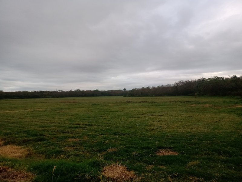 EXCLUSIVIDADE, FAZENDA COM 52 HECTARES DENTRO DA CIDADE DE SÃO JOSÉ DOS CAMPOS - São José dos Campos - 