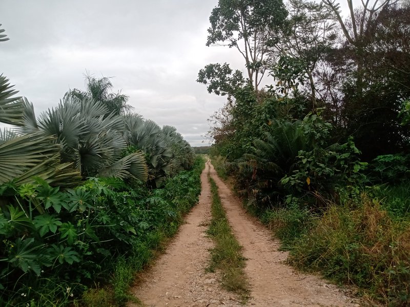 EXCLUSIVIDADE, FAZENDA COM 52 HECTARES DENTRO DA CIDADE DE SÃO JOSÉ DOS CAMPOS - São José dos Campos - 