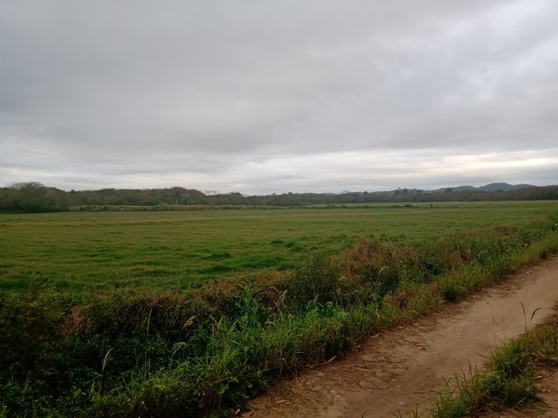 EXCLUSIVIDADE, FAZENDA COM 52 HECTARES DENTRO DA CIDADE DE SÃO JOSÉ DOS CAMPOS - São José dos Campos - 