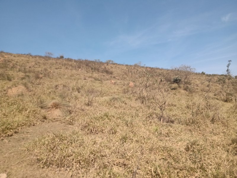 ÁREA RURAL COM 20.000 METROS EM SÃO JOSÉ DOS CAMPOS - São José dos Campos - 