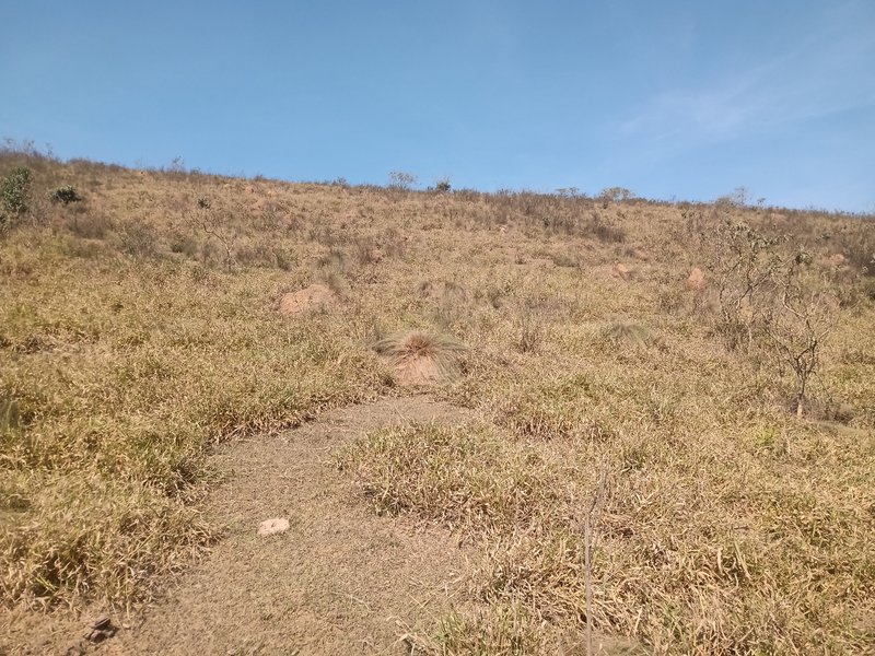 ÁREA RURAL COM 20.000 METROS EM SÃO JOSÉ DOS CAMPOS - São José dos Campos - 
