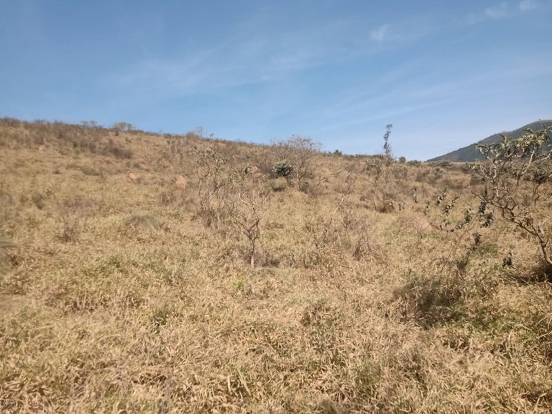 ÁREA RURAL COM 20.000 METROS EM SÃO JOSÉ DOS CAMPOS - São José dos Campos - 