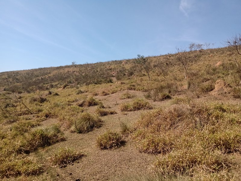 ÁREA RURAL COM 20.000 METROS EM SÃO JOSÉ DOS CAMPOS - São José dos Campos - 