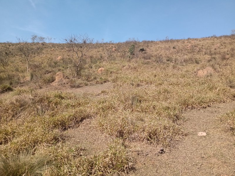 ÁREA RURAL COM 20.000 METROS EM SÃO JOSÉ DOS CAMPOS - São José dos Campos - 