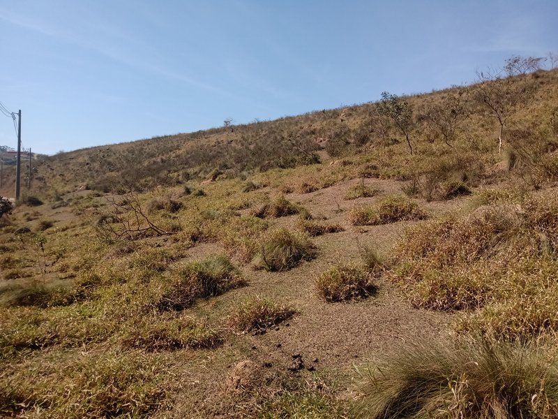ÁREA RURAL COM 20.000 METROS EM SÃO JOSÉ DOS CAMPOS - São José dos Campos - 