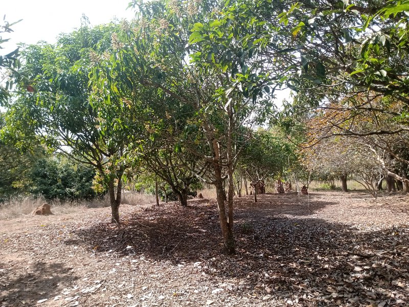 CHÁCARA COM 5.000 METROS EM CAÇAPAVA - Caçapava - 