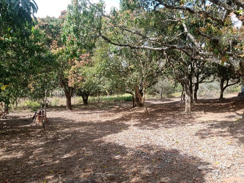 CHÁCARA COM 5.000 METROS EM CAÇAPAVA - Caçapava - 