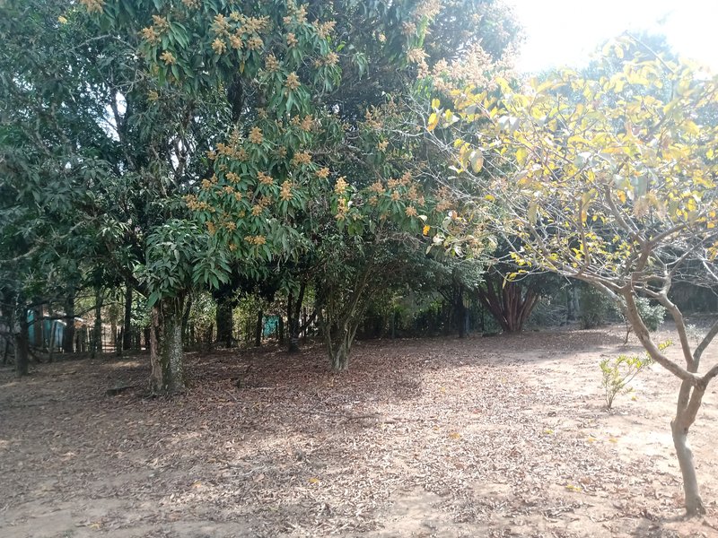 CHÁCARA COM 5.000 METROS EM CAÇAPAVA - Caçapava - 