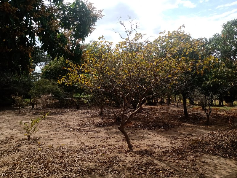 CHÁCARA COM 5.000 METROS EM CAÇAPAVA - Caçapava - 