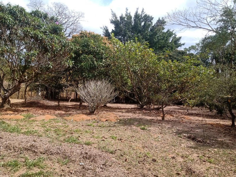 CHÁCARA COM 5.000 METROS EM CAÇAPAVA - Caçapava - 
