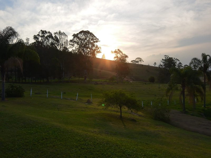 SÍTIO COM 43 HECTARES EM JAMBEIRO - JAMBEIRO - 
