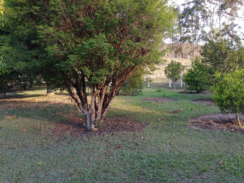 SÍTIO COM 43 HECTARES EM JAMBEIRO - JAMBEIRO - 