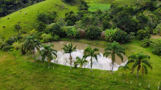 SÍTIO COM 43 HECTARES EM JAMBEIRO - JAMBEIRO - 