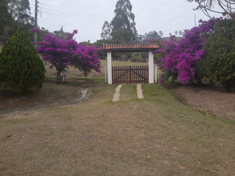 SÍTIO COM 43 HECTARES EM JAMBEIRO - JAMBEIRO - 