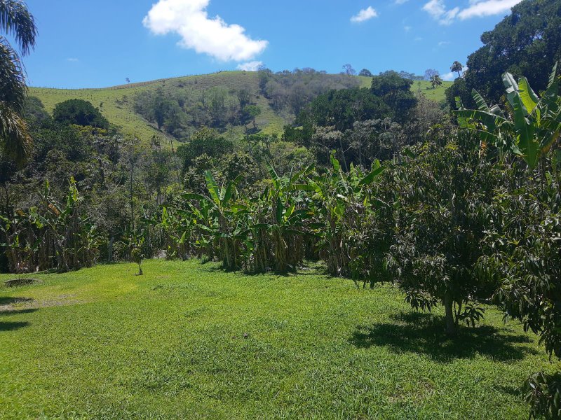 SÍTIO COM 43 HECTARES EM JAMBEIRO - JAMBEIRO - 