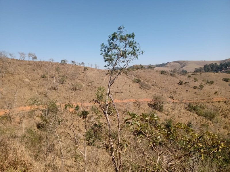 ÁREA RURAL DE 20.000 METROS NA ZONA NORTE DE SÃO JOSÉ DOS CAMPOS - São José dos Campos - 